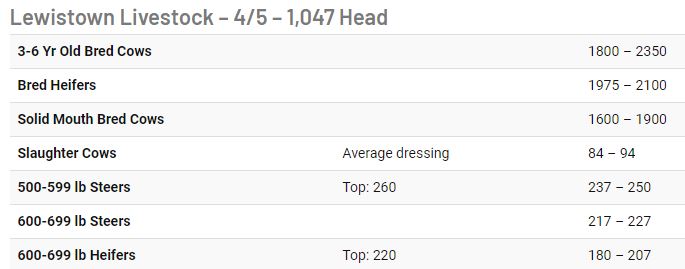 NorthernAgNET's tweet image. Top Stories this week from Northern Ag Network - mailchi.mp/northernbroadc…