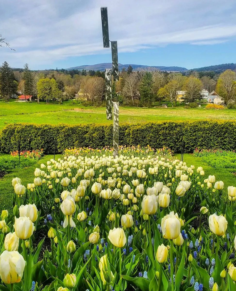 Visit Massachusetts on Twitter "Over 130,000 flowers will be in bloom at the Naumkeag Daffodil