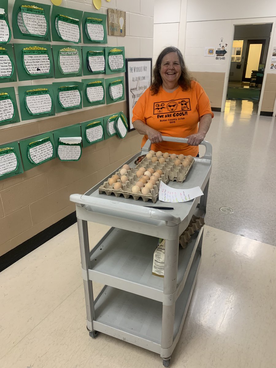 brunk1stgrade's tweet photo. Mrs. Casey brought the eggs for our incubators from the hatchery!  She also answered many of our questions about chick eggs and chicks. The 21 day countdown officially begins! @WyandotECS #weshinebright #WEarelakota #chickeggs https://t.co/SK4OjY3MT7