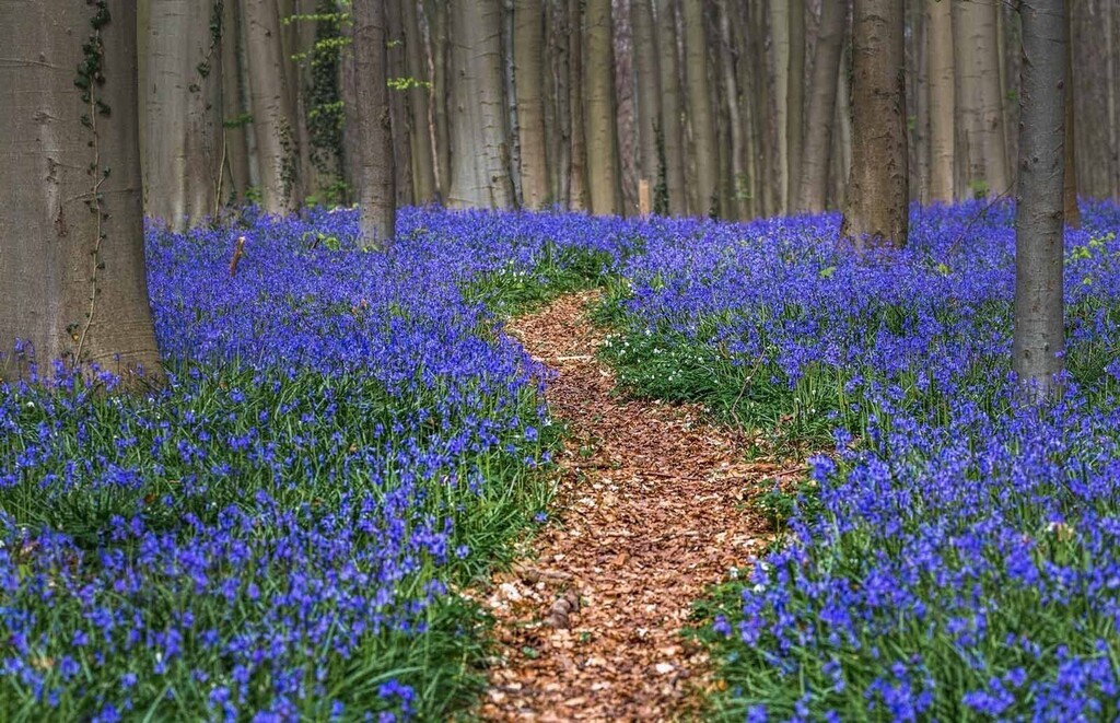 🕍 Are you ready for a spiritual adventure rooted in Jewish tradition? Join us for 'Your Omer Spiritual Journey,' a four-session course with Rabbi Jill Zimmerman, exploring the principles of spiritual journeys through Jewish texts, poetry, and music. … instagr.am/p/CqrA_mKvOT-/