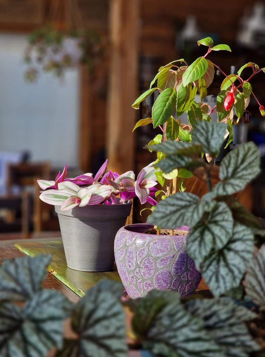 Өглөөний мэнд 😘😘

100% бүтэхгүй ажил байлаа ч хийгээд үзсэн хүнд туршлага үлддэг хэмээж 
Хичээцгээе 🤗🤗