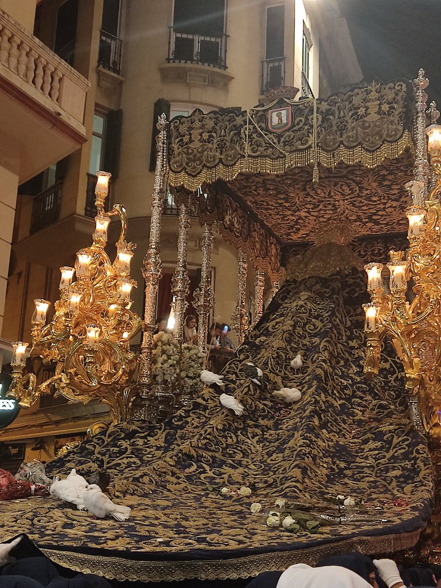 Detalle del manto de la virgen de la Paloma #CofradíasMLG