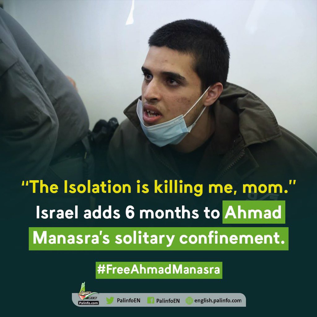 Hala Alani tweet media