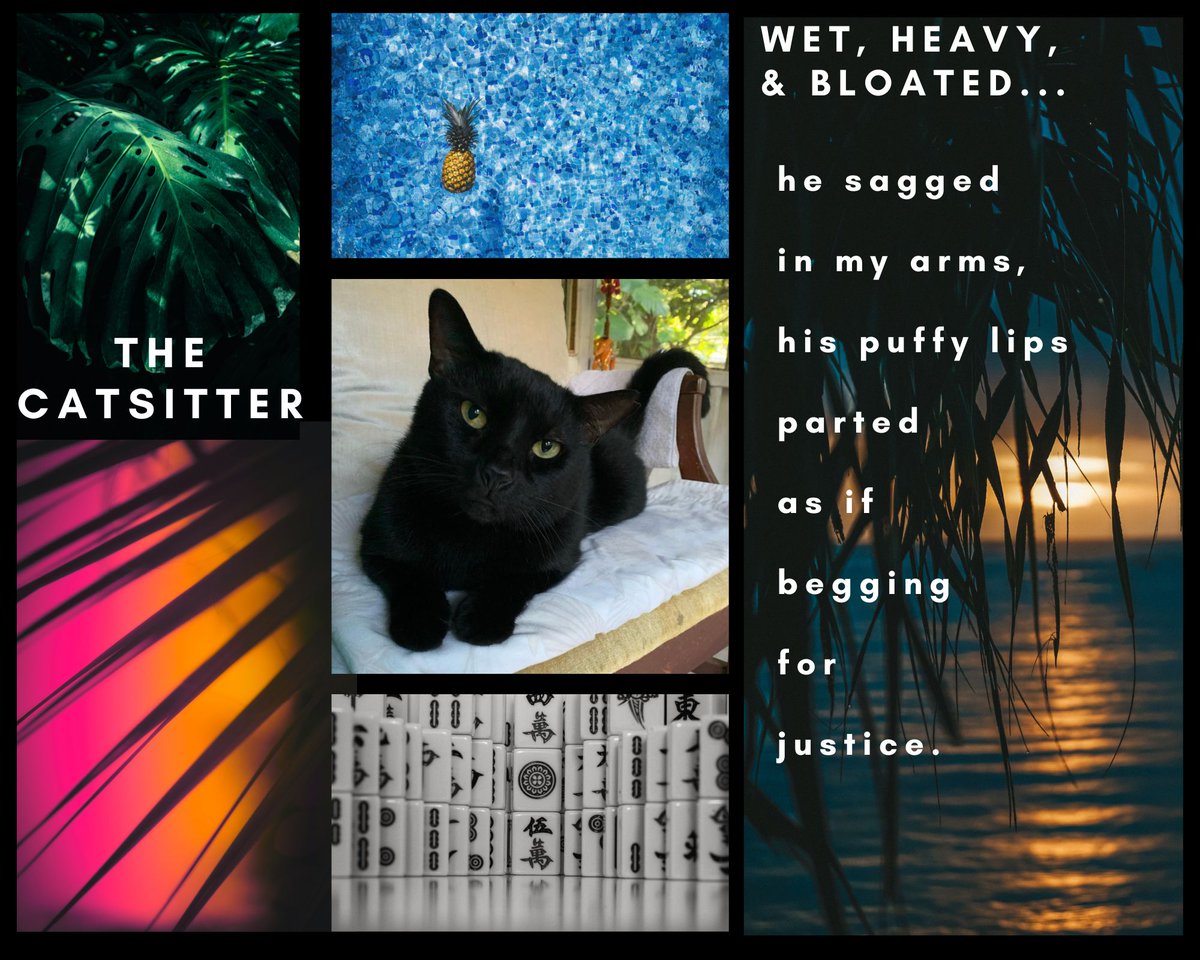 QP_match's tweet photo. Chinese Miss Marple meets DIAL A FOR AUNTIES in Honolulu

Before retiring, 69yo Ching takes one last lucrative catsitting gig for Hawaii's richest family.

Alone on Xmas morning, she finds a dead guy in their pool &amp; calls her mahjong buddies for help.

#MoodPitch #A #M #POC #IRMC https://t.co/7uDKbKzSBa