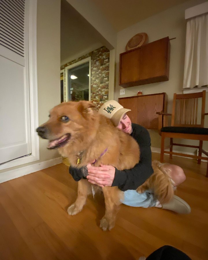 BTRbot (RIP)  🤖 (@btrb0t) on Twitter photo 