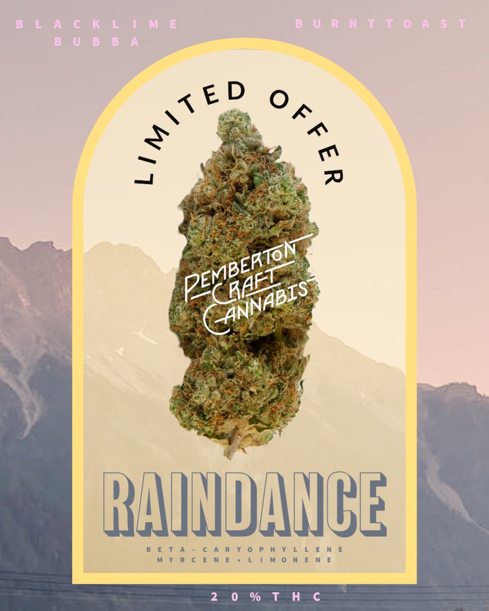 -Direct Delivery -Raindance
A loud and bright tropical flowers/ sour fruit bouquet, the hue of the flower echoes the smell bright green and overtone orange. Structured as a longer flower with groupings of florets. The flavor has a unique sweet/sour zing: 3.5g  bcdd@tricanna.com