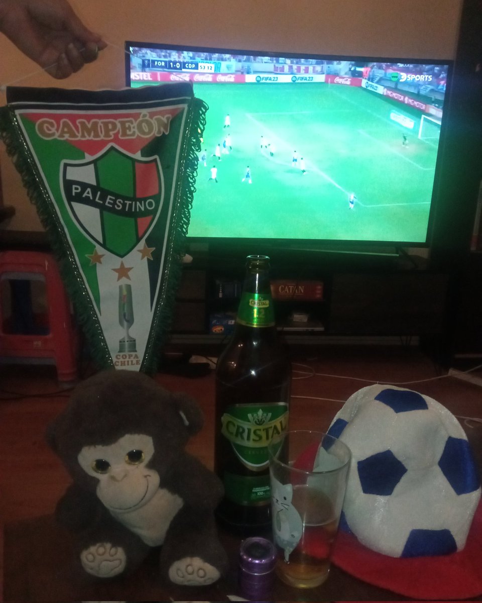 FidelCastilloM's tweet photo. #palestino #CopaSudamericana2023 #FortalezaEC #palestino https://t.co/P0PqvB6O0U