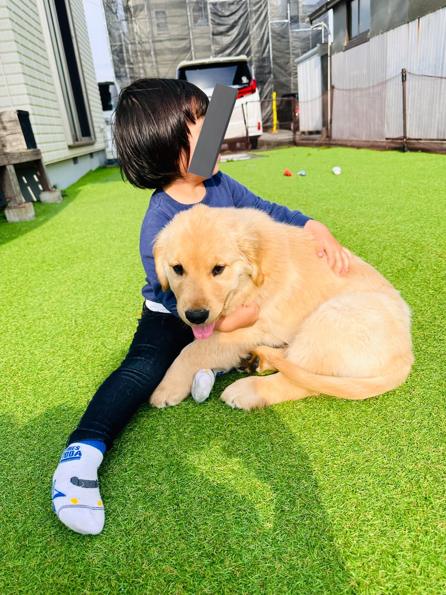 ゴルパピと子供の最強コンビ♡
もう癒しでしかなかった…