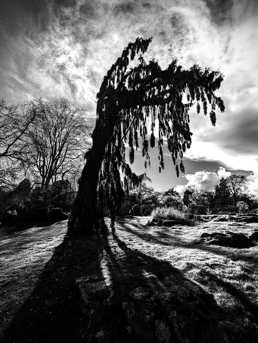 TIHSON2's tweet photo. I like this one a lot.
#tihson2 #blackandwhite #bnw #blackandwhitephotography #bnwsouls #badass_bnw #photography #rawbnw #bnwphotography #abstractphotography #fineartphotography #dailyphotography  #highcontrastbw https://t.co/uY4M254Azb