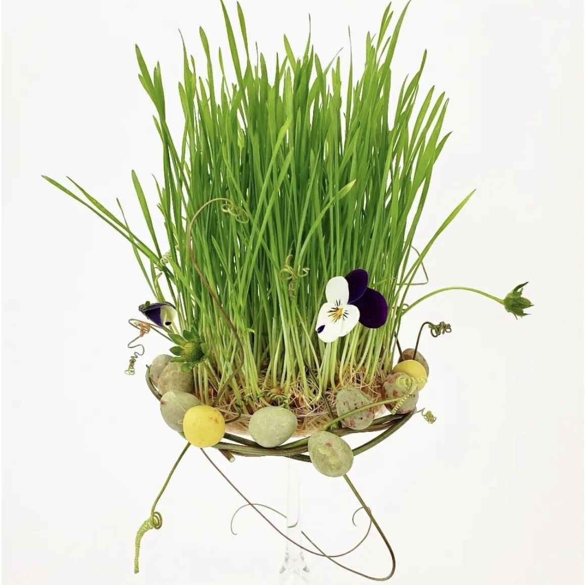 Plant Something Together tweet media