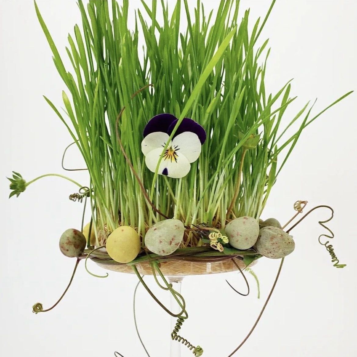 Plant Something Together tweet media