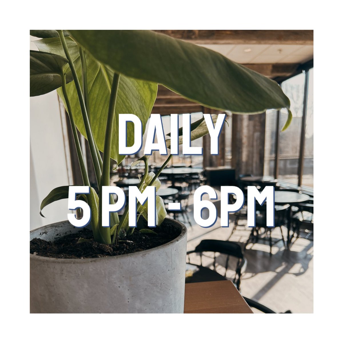 butternut_tree's tweet photo. Happy Hour daily from 5-6pm daily begins today! 

Come by for an appetizer and drink, check out our new menu and weekly features! 

#yeg #yeghappyhour #yegfood #yegdt https://t.co/lkyyX7qLPI