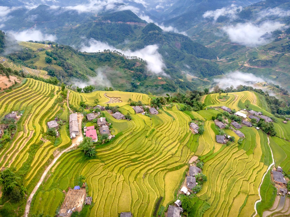 Paulotabinas's tweet photo. #Philippines #BeautifulViews #StunningPhoto #BanaueRiceTerraces
The Rice Terraces of the Philippine Cordilleras (Filipino: Mga Hagdan-Hagdang Palayan ng Kordilyera ng Pilipinas; Ifugao: Payyo) are a World Heritage Site consisting of a complex of rice terraces on the island of Luzon in the Philippines. They were inscribed on the UNESCO World Heritage List in 1995, the first-ever property to be included in the cultural landscape category of the World Heritage List.
https://t.co/lZZQxtYS8R