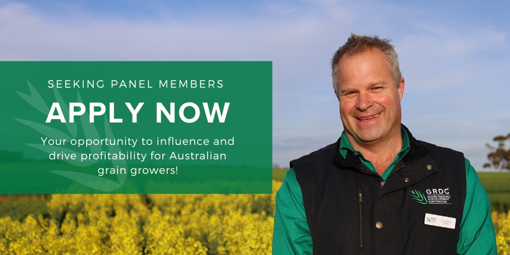 ⏰ One week left to apply for GRDC's regional panels! We're looking for innovative, broad minded, collaborative grain growers, agronomists, researchers & industry stakeholders. For more information bit.ly/3mFUbvC Applications close 5pm AEST Thursday 13 April 2023.