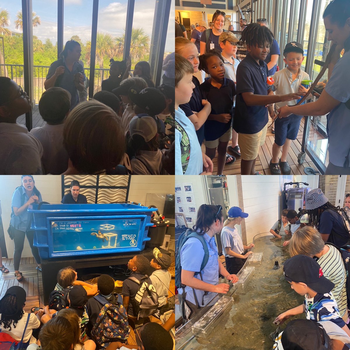 Shawndra Riles tweet media