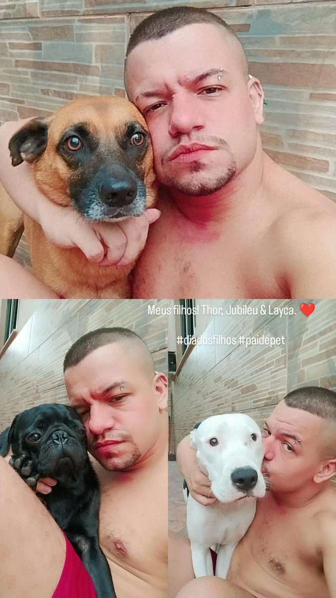 pinocchioofc's tweet photo. Meus filhos! Thor, Jubileu & Layca. ❤️
#diadosfilhos #paidepet https://t.co/TNxyunuNQq