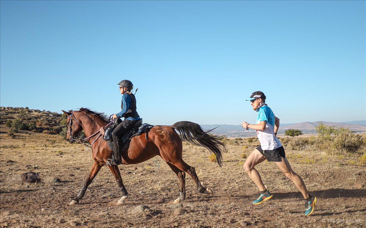 ultrasignup's tweet photo. Ever wonder if you could outrun a horse? Put it to the test at the 39th annual @ManAgainstHorse race! In Arizona this fall, runners will compete alongside horses, on the same course at the same time. Pick from 3 distances to horse around in on 10/28! 🐎 https://t.co/5jQfYjCgYt https://t.co/fJX2AKAd6l