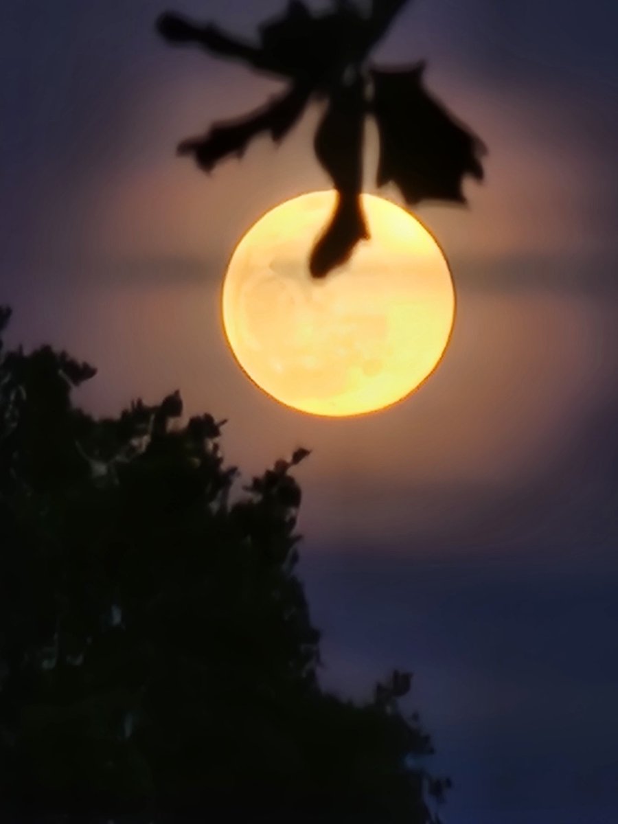 MoonHourSocial's tweet photo. Best #CellPhoneCamera I've ever had
#FullMoon #MoonHour®️ https://t.co/aFhOzf6pfV