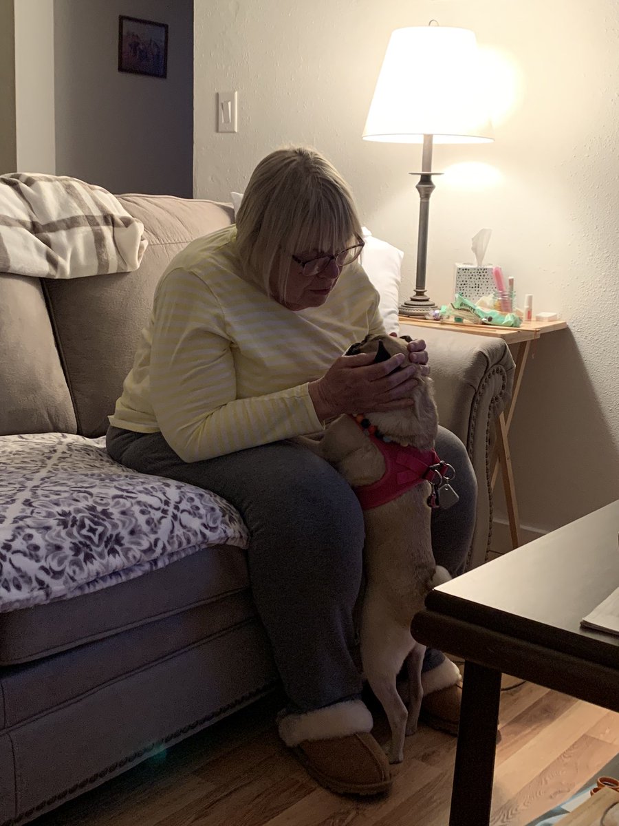 Lt. Petunia Mae Parker 🐷🐑 tweet media