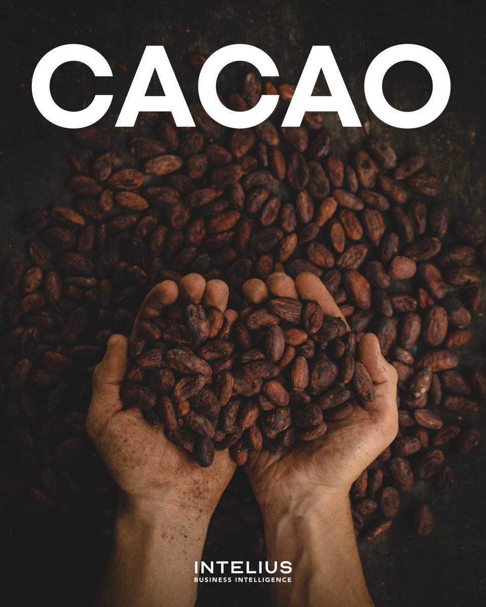 InteliusBI's tweet image. ¿Sabías que Ecuador es uno de los principales productores de cacao del mundo? La demanda de cacao de alta calidad ha incrementado para la elaboración de chocolates y otros productos. #ComercioEcuador #NegociosInternacionales