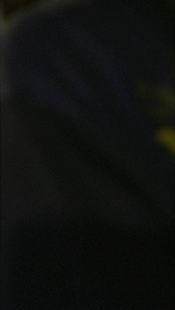 Daniel SDMN On Twitter RT WWE How About A JohnCena X SnoopDogg 