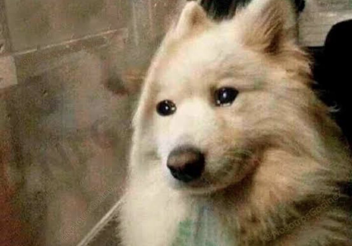Yo viendo como todos se van de vacaciones menos yo.