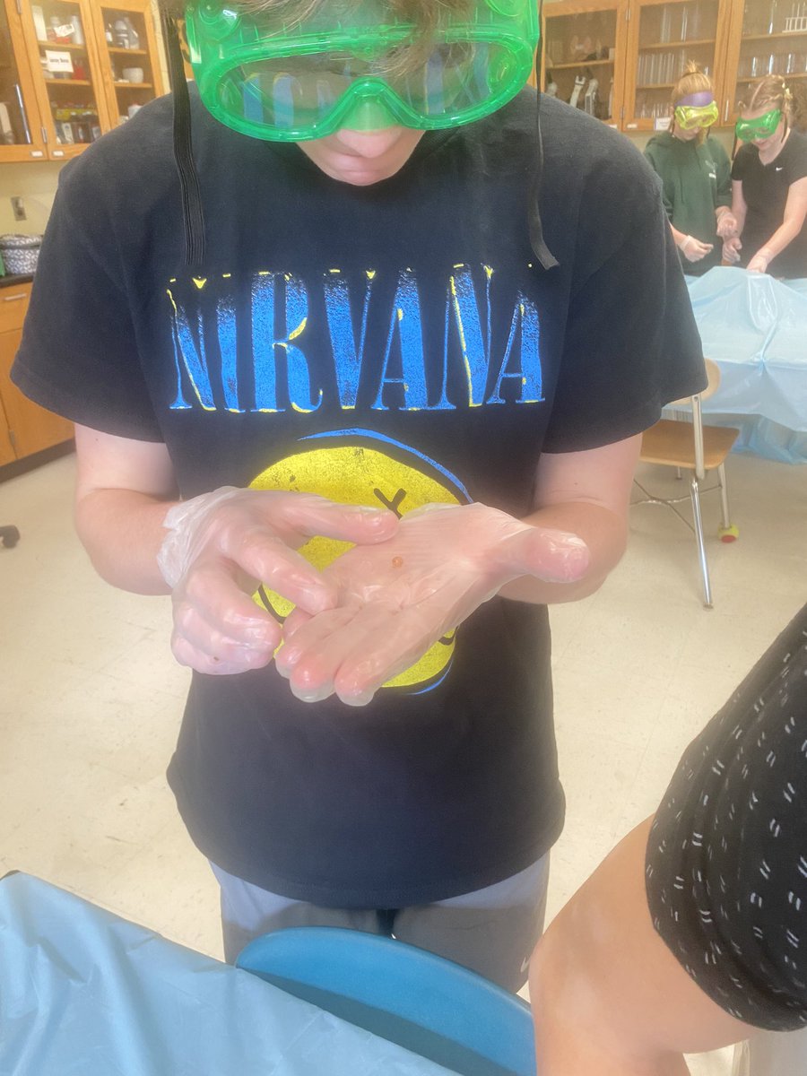 sciwithmrse's tweet photo. 🐸 Love the excitement of dissection day🐸 https://t.co/RsBJiNdA1f