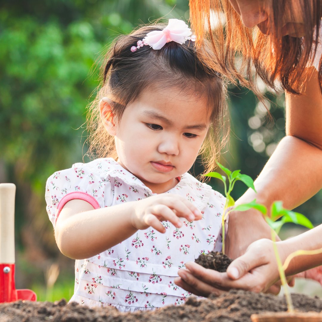 LRinvasives's tweet photo. Happy Soil Conservation Week! Let's celebrate &amp; appreciate the foundation of our food system. Healthy soil is key to nourishing our communities and sustaining our rural areas for generations to come. Protect soils by removing invasive plants. 🌱🌾🌿
#SoilConservationWeek https://t.co/EZf98WJ0vj