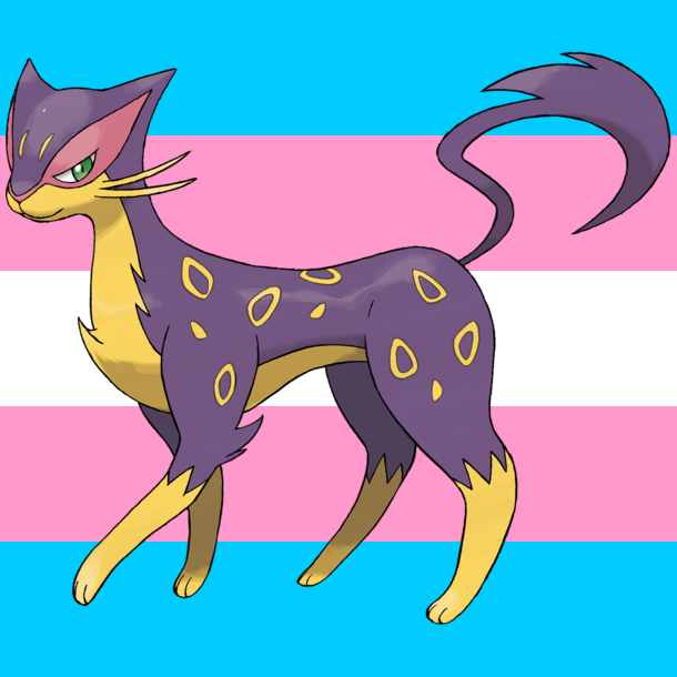 Every Pokémon is Trans tweet media