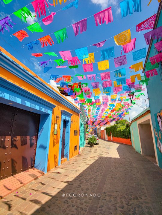 fcoronado's tweet photo. ¿Ya conoces esta guía de #Oaxaca? 👉🏼 https://t.co/DUX759b795 📷🍛🎶💃🏽 https://t.co/Alm1ahWk7d