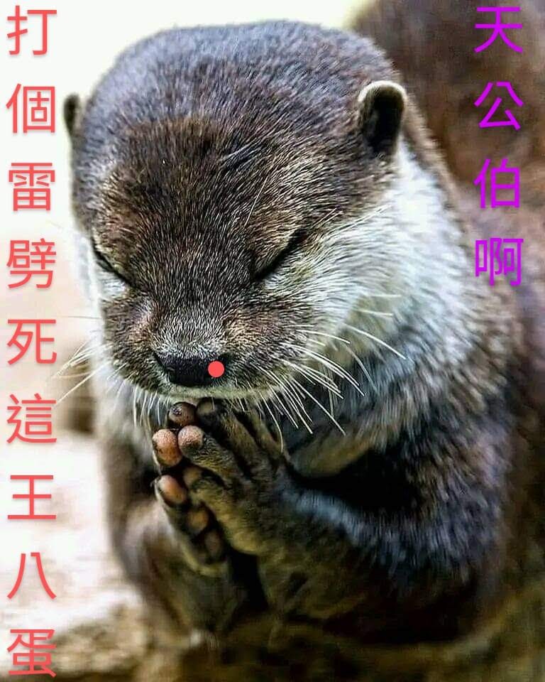 Lỗ đen vũ trụ tweet media