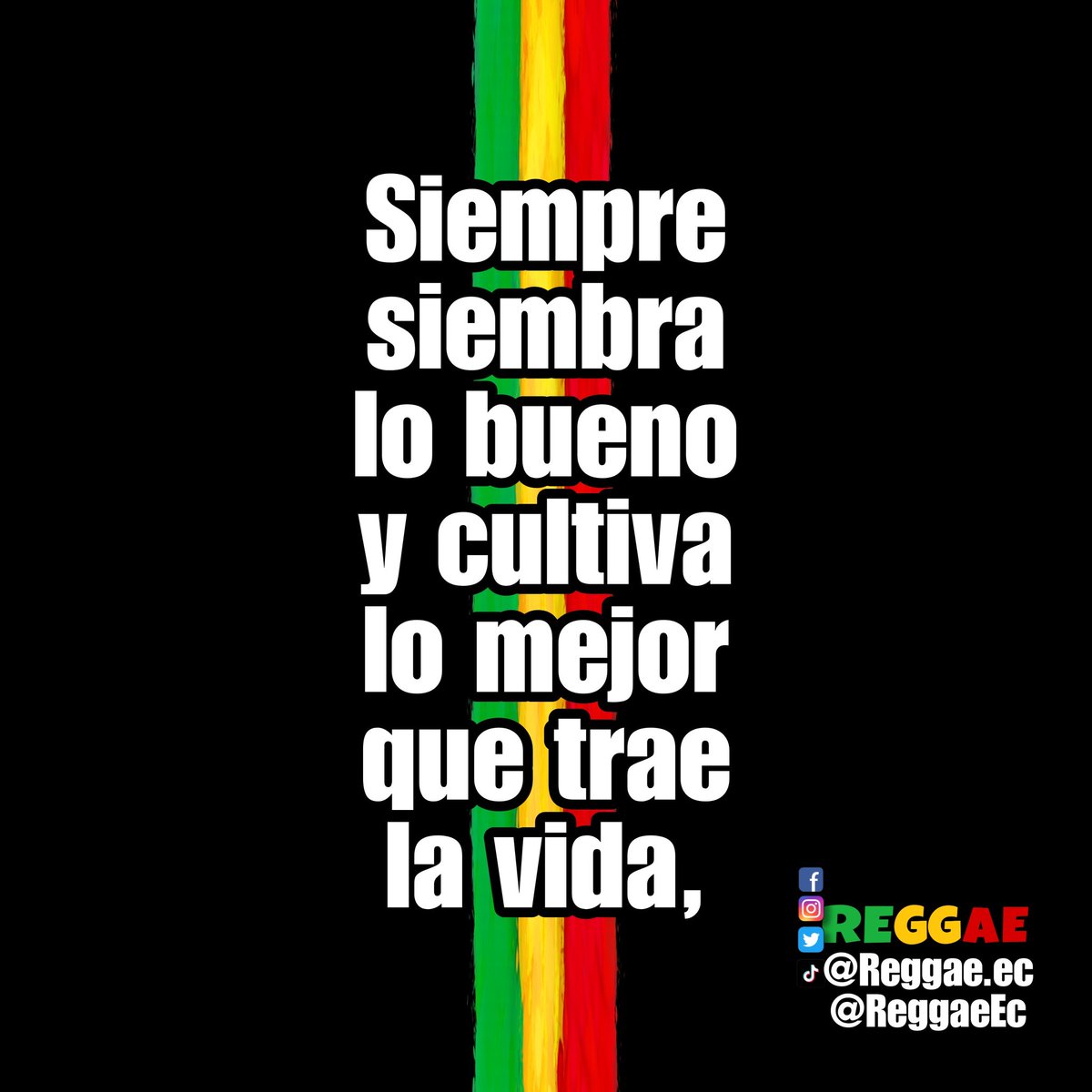 Buenas vibras Rasta hoy y siempre Jah Bless ✌️😎💚💛❤️ Oye #Reggaemusic #reggae #VidaRasta #jahlove #jaharmy #freedom #jahbless #Rastafari #familylove #reggae593 📻 🎶