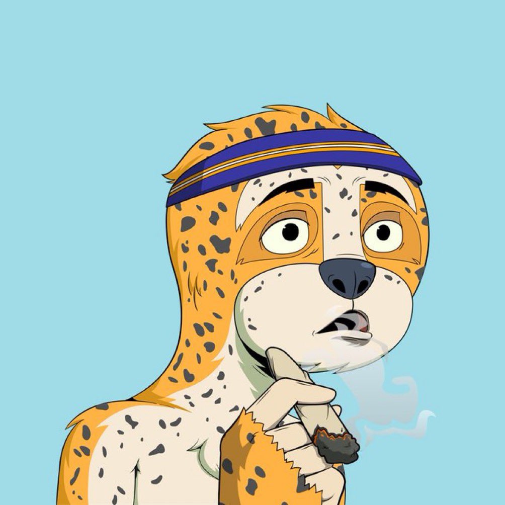 in2act_'s tweet photo. 💙 my 🦥
#CasualSloths #ProbablySlothing https://t.co/9P7PGERY4O