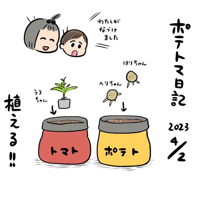 ポテトマ日記!
収穫までたまに進捗描いていければと思います🥔🍅
とりあえずポテトはまだ芽は出ない、トマトは気持ち伸びてきた! 