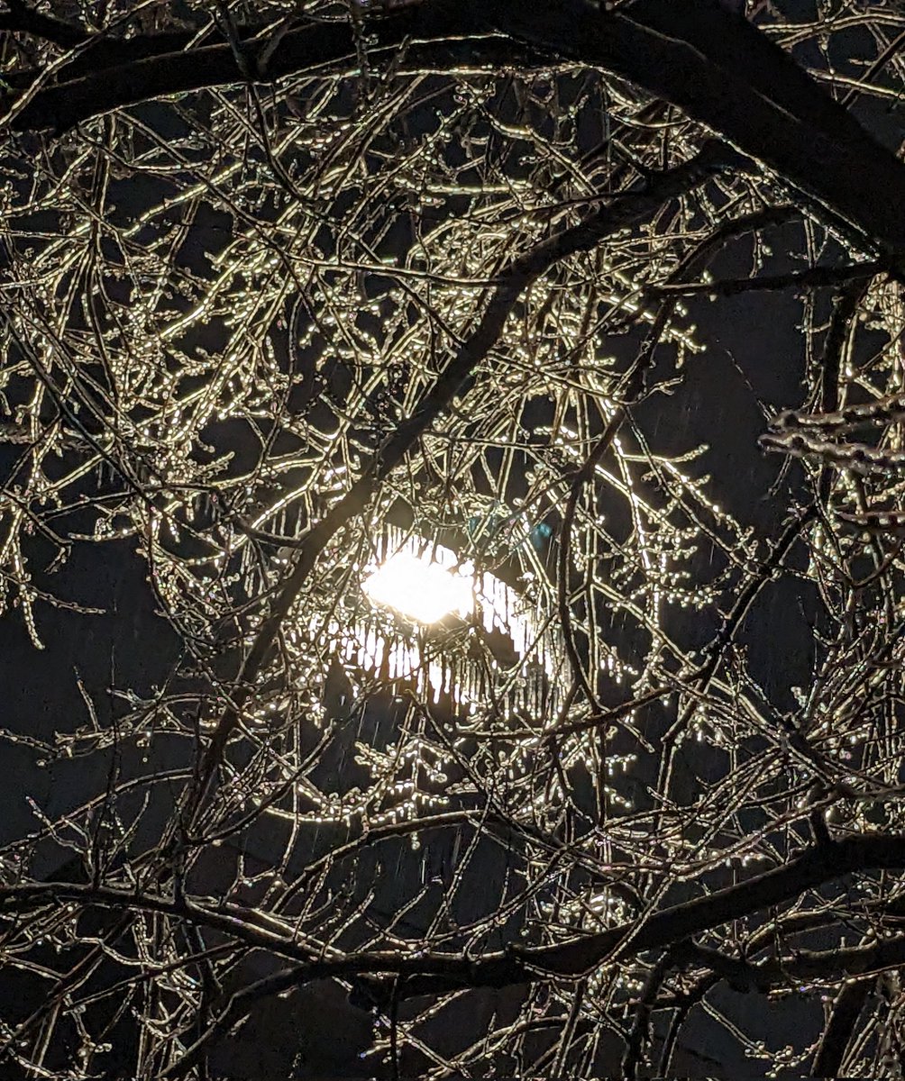 It's a bit icy out there. #Montreal #icestorm