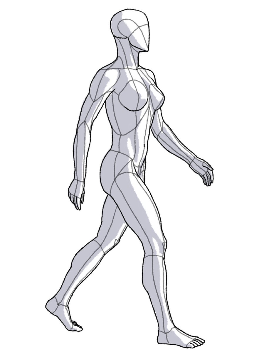 Anatomy Tutorials On Twitter Anatomy tutorials on twitter