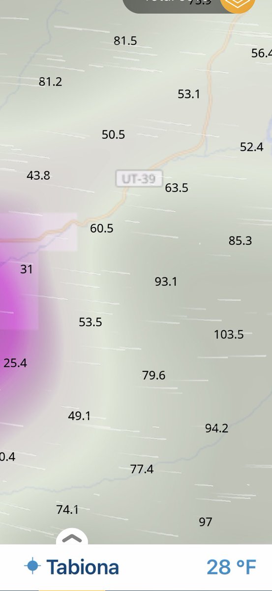 Jeff Theis tweet media