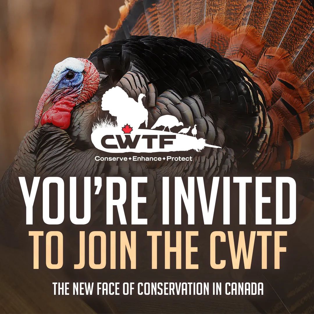 Canadian Wild Turkey Federation tweet media