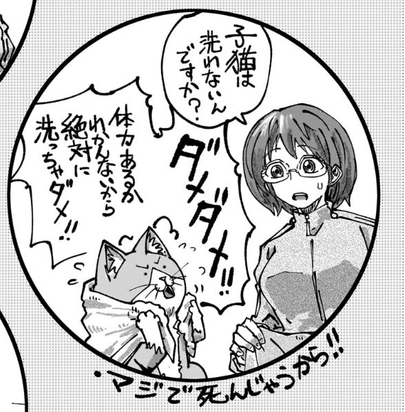 ラーメン赤猫、和み系漫画だケド
猫に関しての豆知識的なのが散りばめられててとても好き
これなんか、善意で保護した子猫洗っちゃう漫画とかドラマ多いから、知らない人多そうだし
拾われる子猫の為にもこーゆーのは認知されて欲しい 