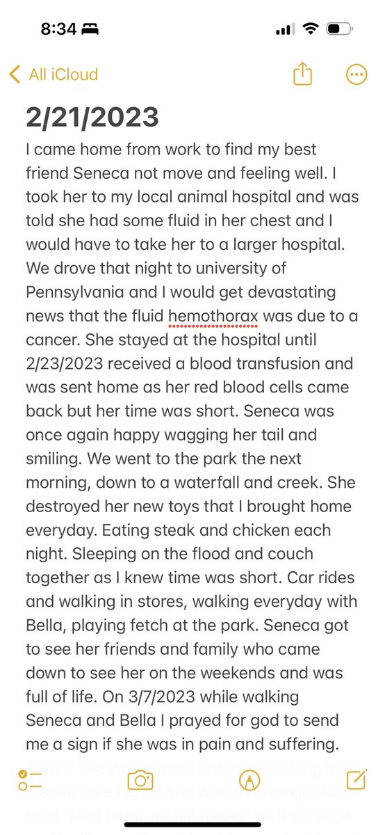 Double_M215's tweet photo. 4 weeks ago I lost my best friend in the world. My dog Seneca passed away and my world is still not the same. 😥#RIPSENECA #rainbowbridge #Seneca #Americanbully #dogsoftwitter https://t.co/mM72fxqbJq