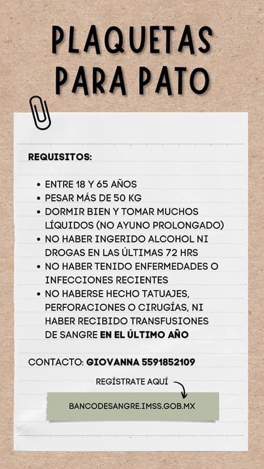 Zel Cabrera tweet media