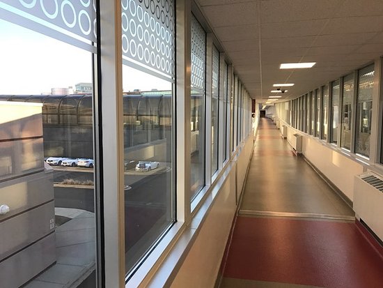 FurryDramaBot's tweet photo. Torch has gone into hiding at the MFF Sky Bridge, who knows what they're running away from https://t.co/2eHX6lm3ta
