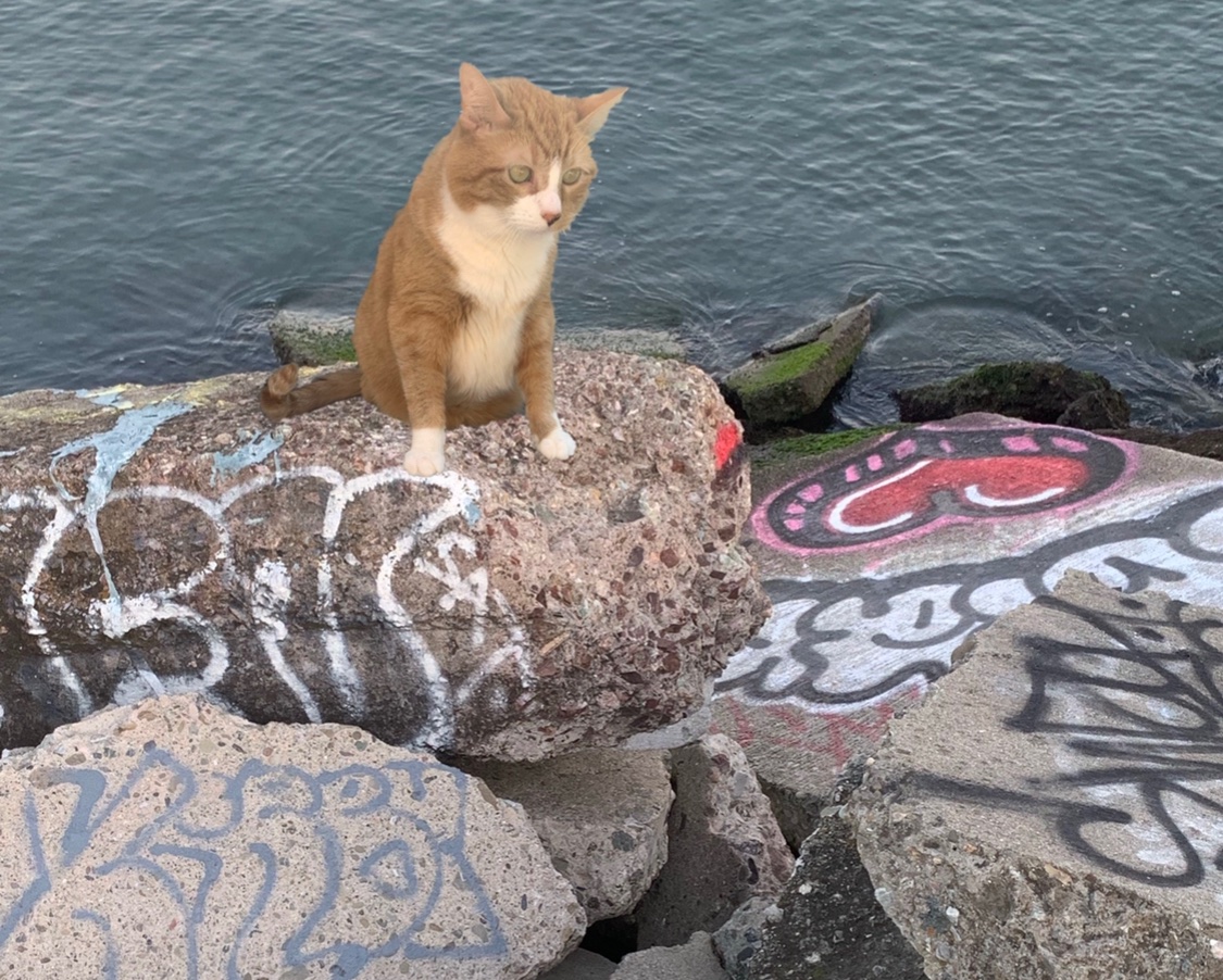 Stephanie Carlson tweet media