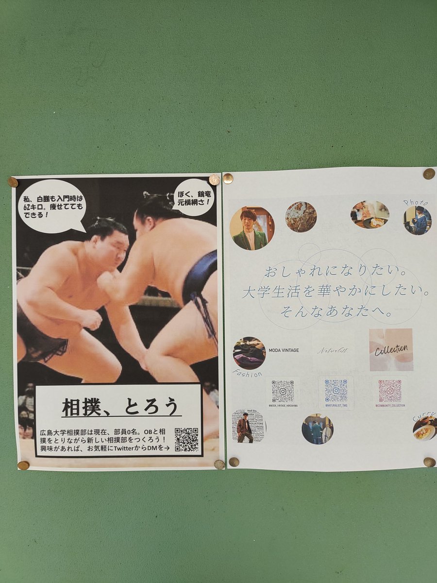hirodaisumou's tweet photo. ビラ貼ってきました！このビラに広大相撲部の存続がかかっています。大学生活を華やかにしたい。そんなあなたへ… https://t.co/tv7w9jgYy4