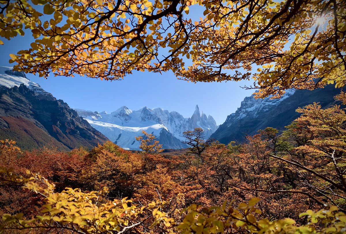 HeyNat's tweet photo. Hand down, Patagonia is probably one of the most beautiful trail in the world.
#patagonia #cerrotorres #pixelmate https://t.co/JpHdk8Oze0
