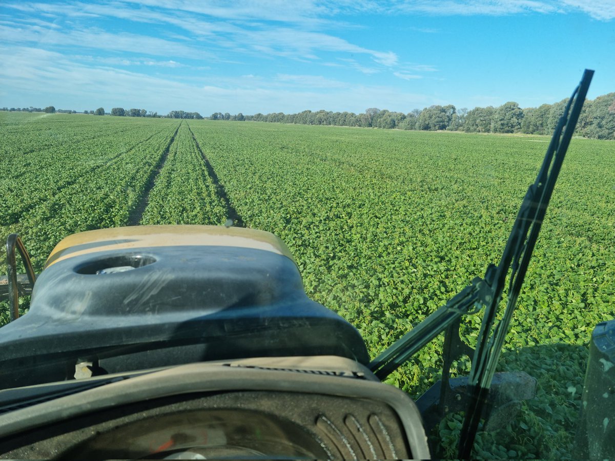 Phillip Hayward tweet media