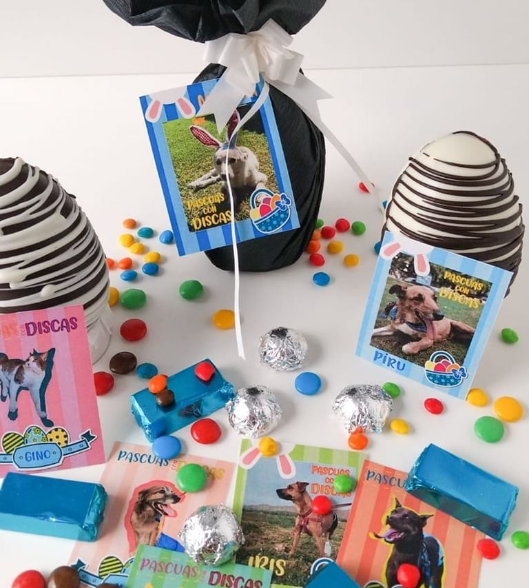 DiscasCba's tweet photo. ¡Epa, chicos! ¿Cómo están? Les 
queremos recordar que estamos vendiendo unos 
combos espectaculares para Pascua! Y lo mejor de 
todo es que son gentileza de la gente de #Sispa, que 
siempre nos sorprenden con cosas ricas y originales.

SIGUE👇👇👇 https://t.co/j1lZoSNj3i