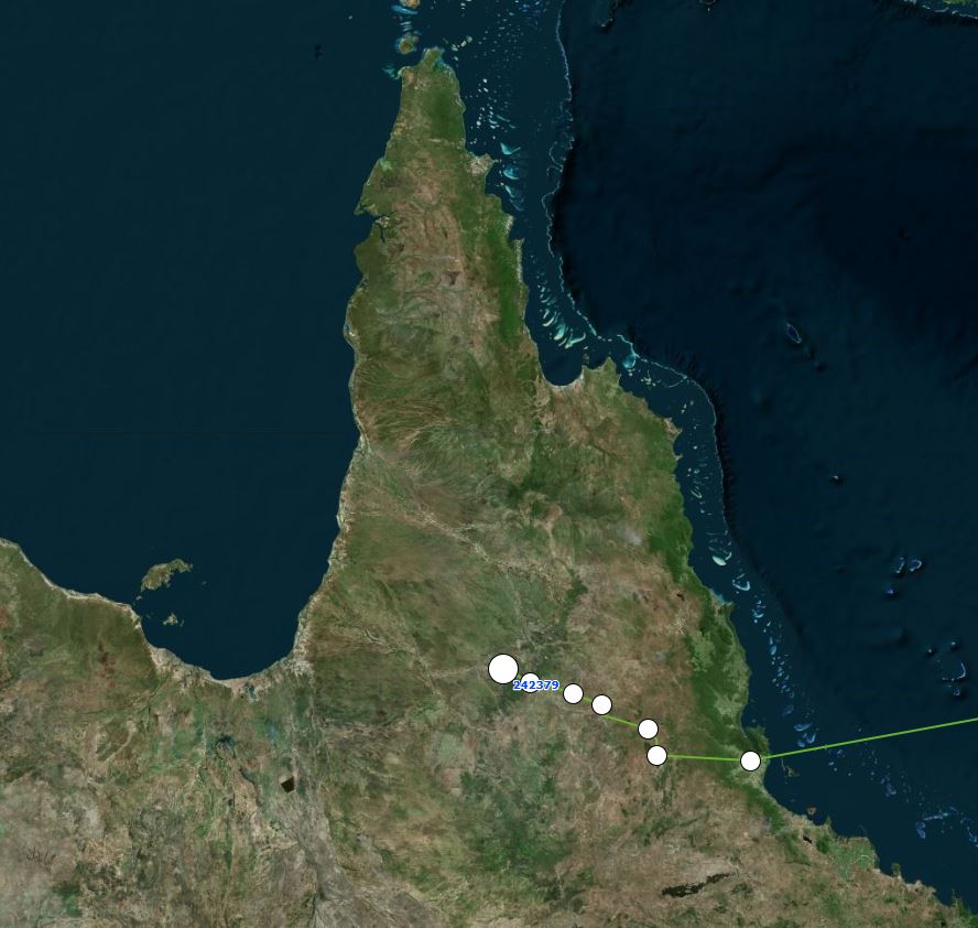 Red Knot HUB is heading overland across Cape York Peninsula en route to the Gulf of Carpentaria. Will HUA do the same? Keep watching globalflywaynetwork.org/flyway/east-as…