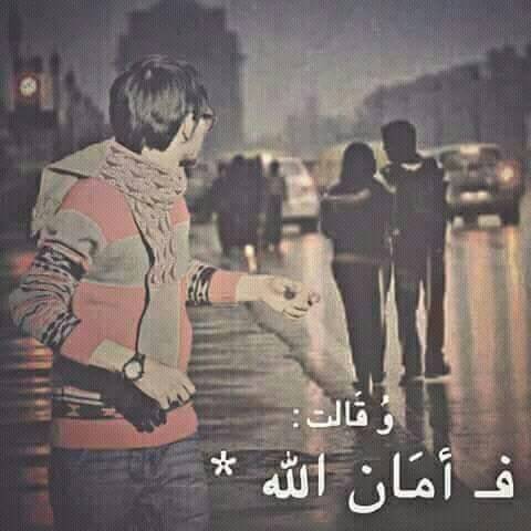 اللي على شانه قطعت العلاقات
وقبلت روتين الحياة وكسرته ...!
ياما على شانه طويت المسافات
تعبت لكن في النهايه خسرته ...!