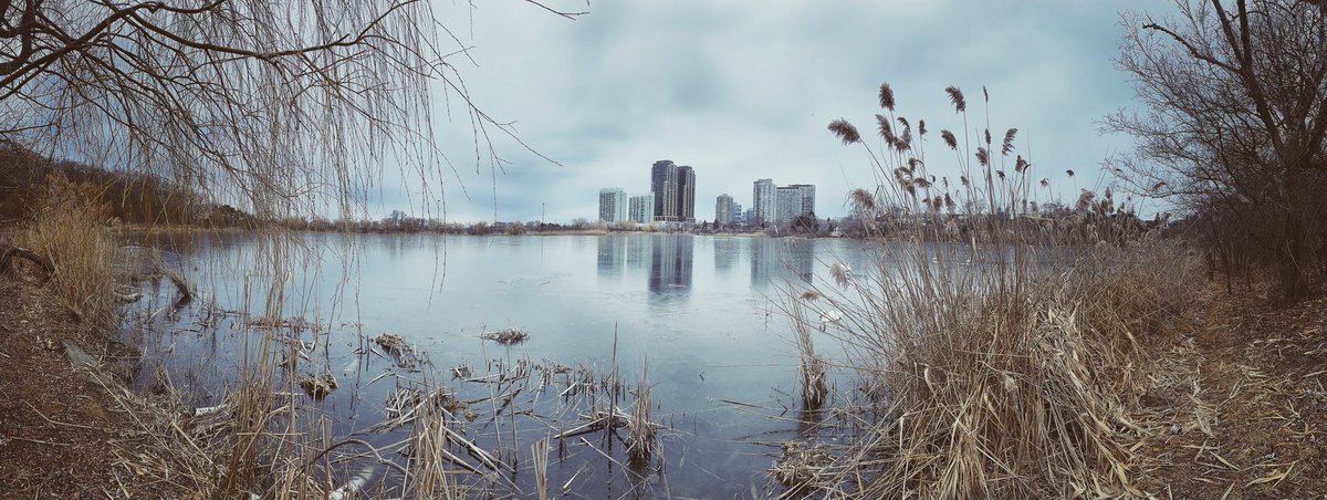 Good bye winter, hello spring! #Toronto